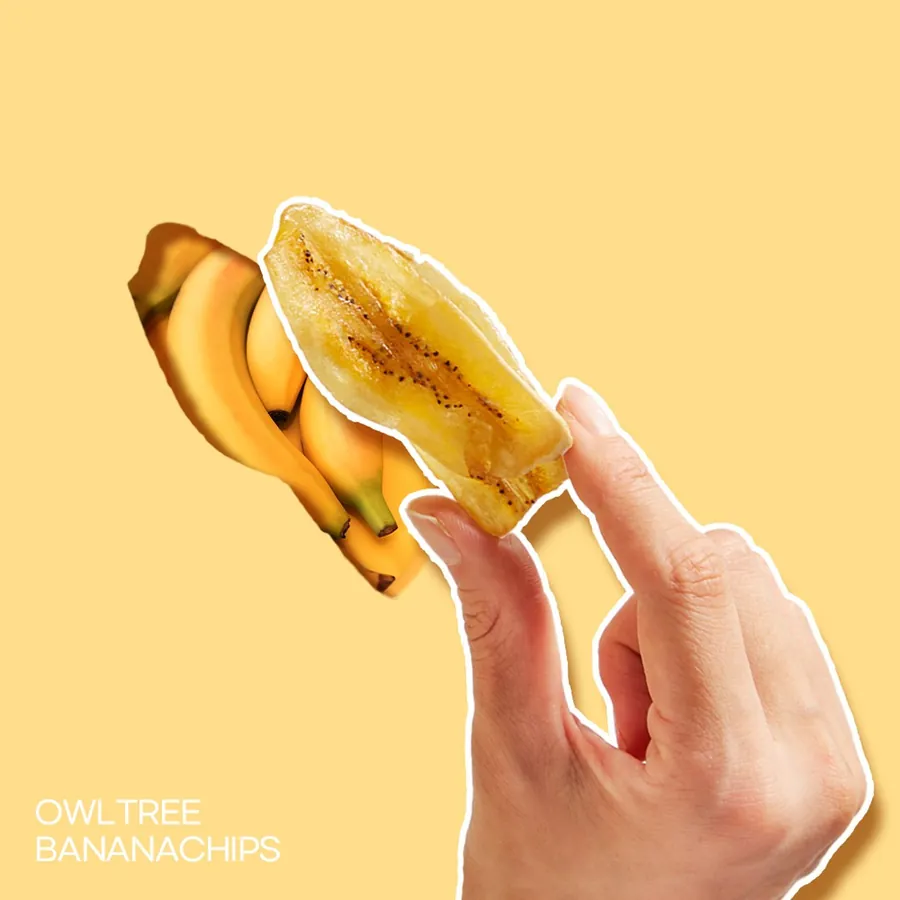 A hand holding a thin OWLTREE banana chip