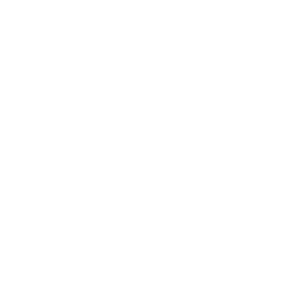 OWLTREE FOODS